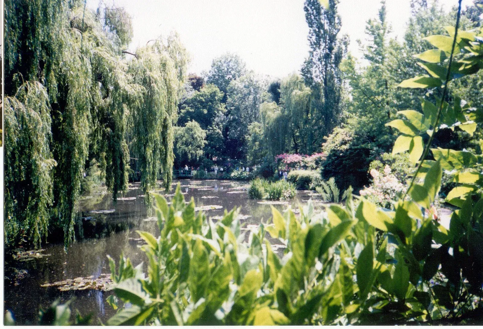 Garden scenery at Giverny