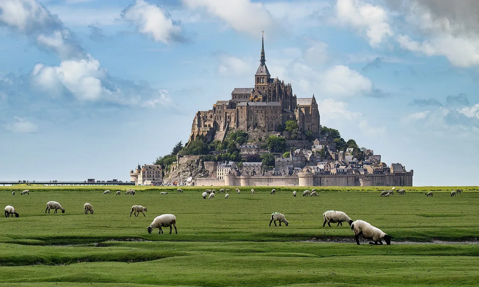 Mont-Saint-Michel rising above green meadows in Normandy